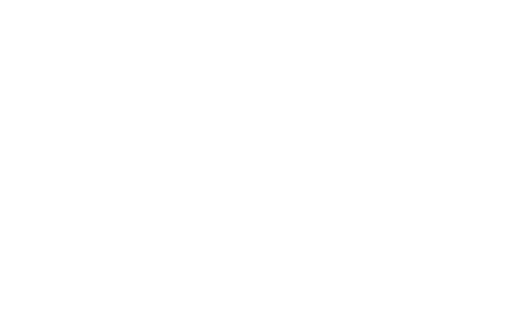 Gillani Bridal & Menswear Logo